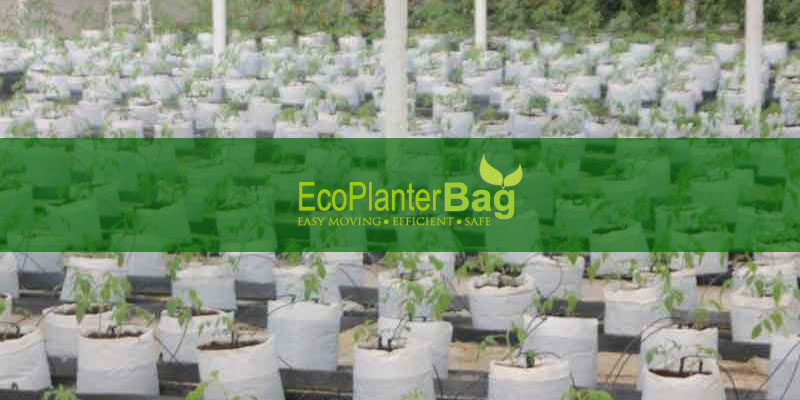 Distributor Planter Bag