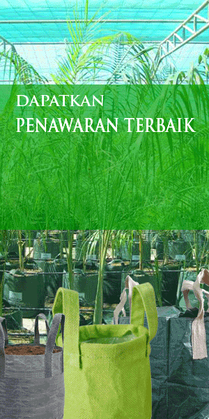 Penawaran Planter Bag