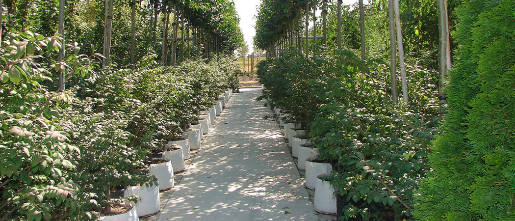 slide2.jpg